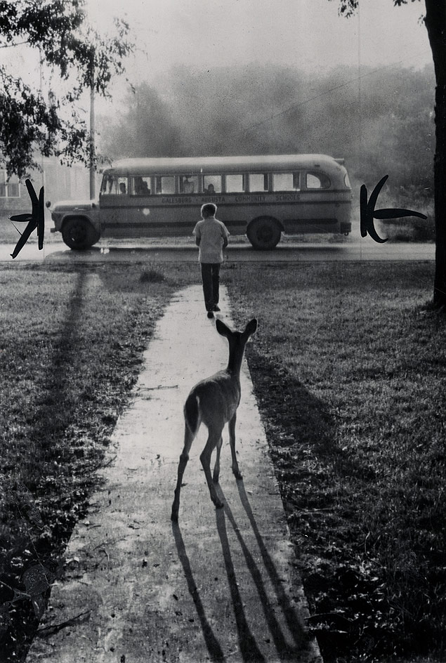40 Amazing Historical Pictures - The pet fawn of Brad Curry of Galesburg, Michigan, watches him depart from home every morning on his schoolbus, 1960 40 Amazing Historical Pictures - The pet fawn of Brad Curry of Galesburg, Michigan, watches him depart from home every morning on his schoolbus, 1960