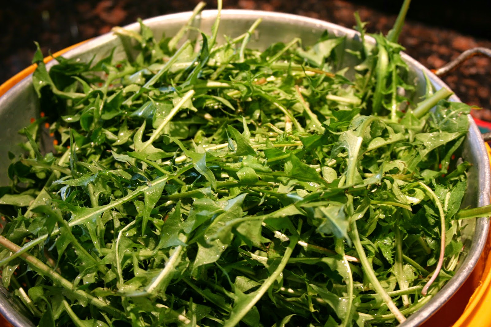 Julia's Cookbook Dandelion Salad