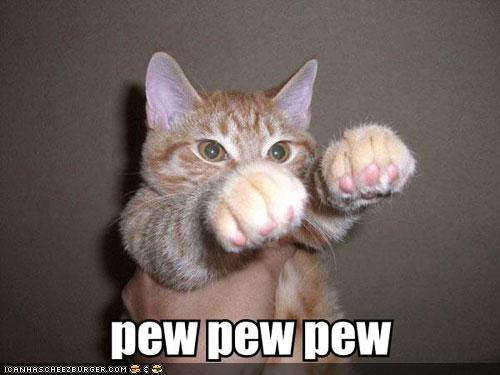 funny-pictures-cat-goes-pew.jpg%253Fw%253D347%2526h%253D260.jpeg