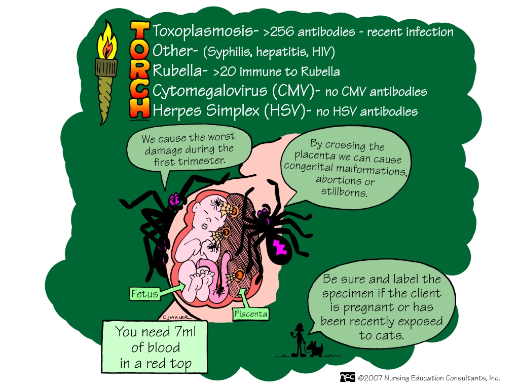Nursing School Pharm Mnemonics