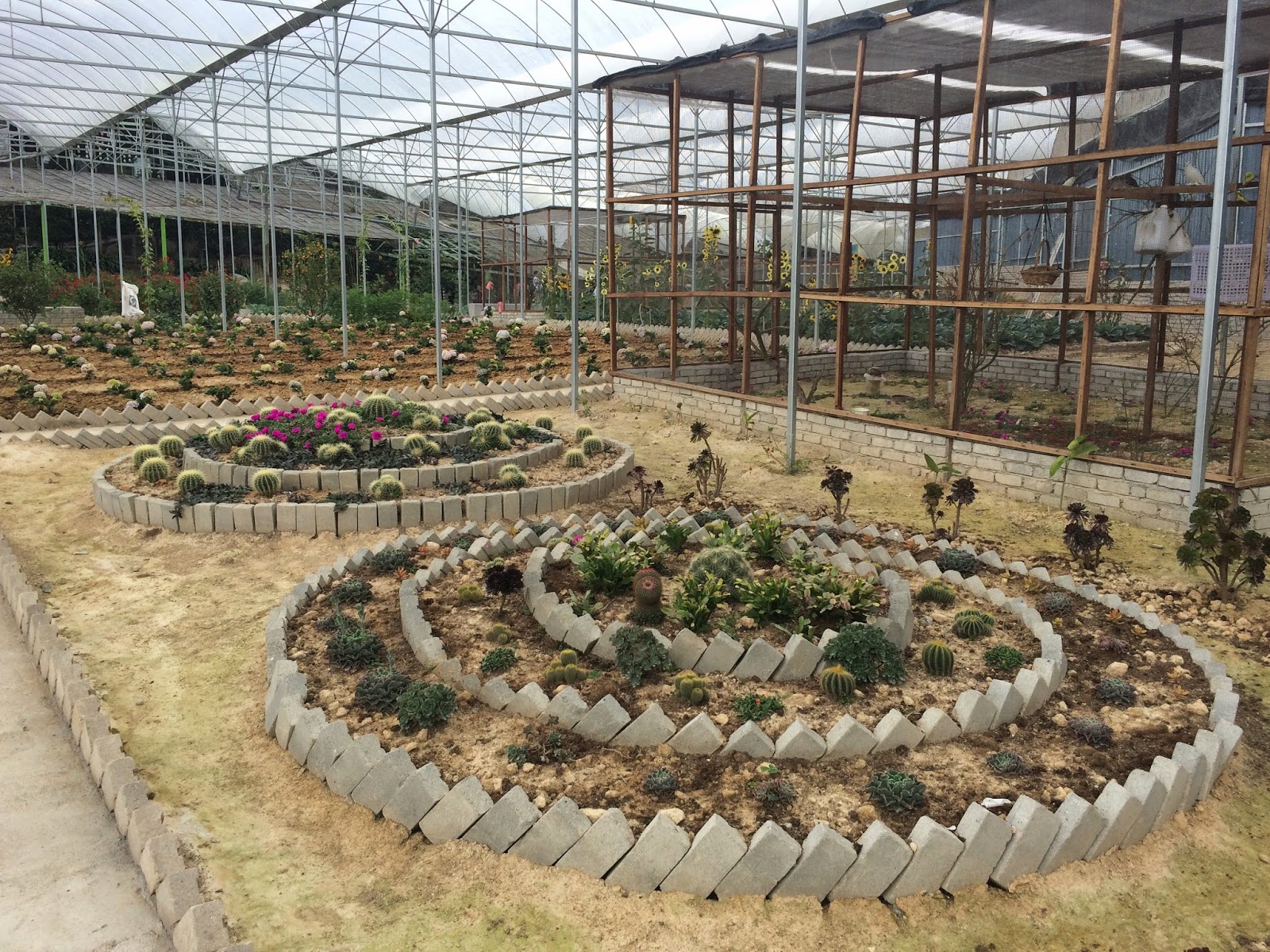 Butterfly Garden Cameron Highlands Malaysia Travel is my favorite Sport