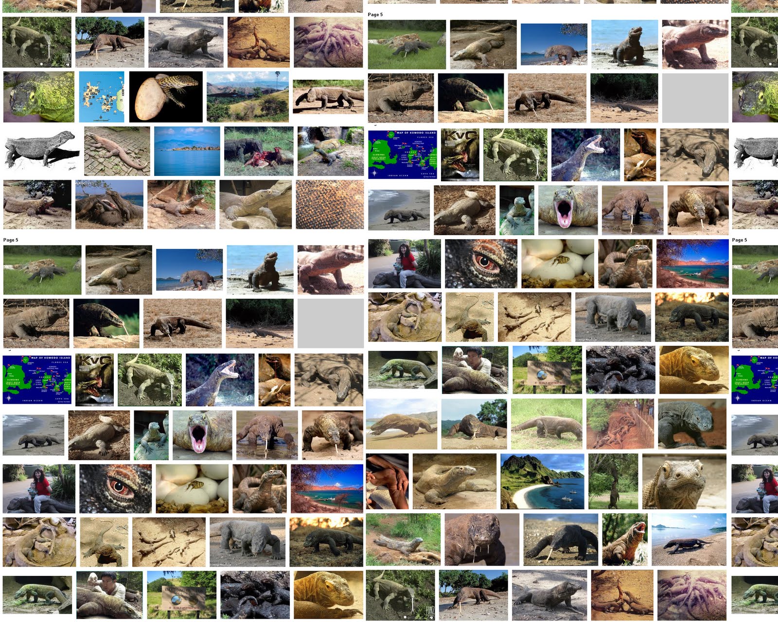 http://4.bp.blogspot.com/-qf9rkXb63VQ/Ta-nJEVRXfI/AAAAAAAAAFs/iv8zoUmYd2E/s1600/Komodo-Island-is-the-NEW7-Wonders-of-The-World.jpg