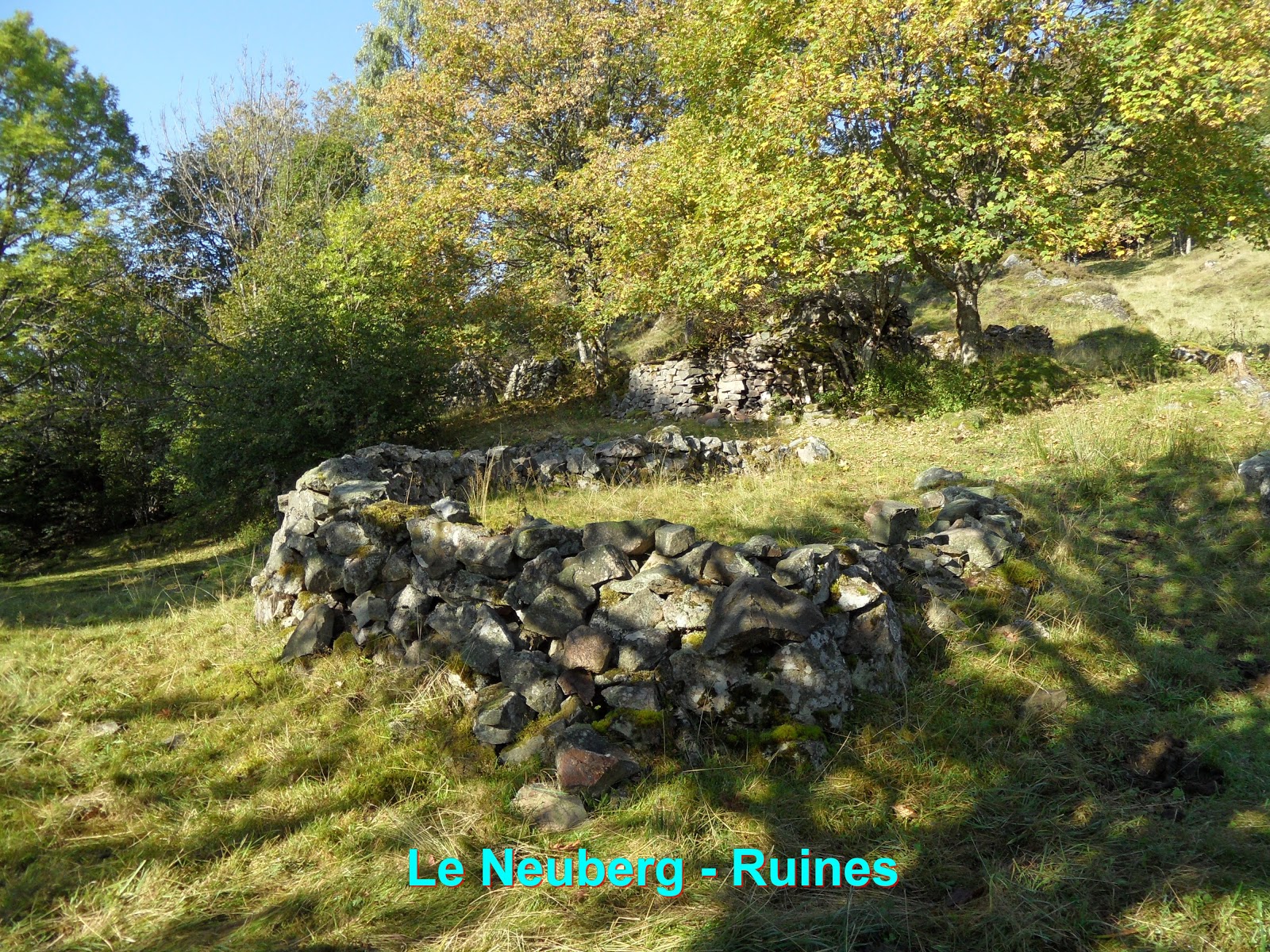 faire rencontres alsace