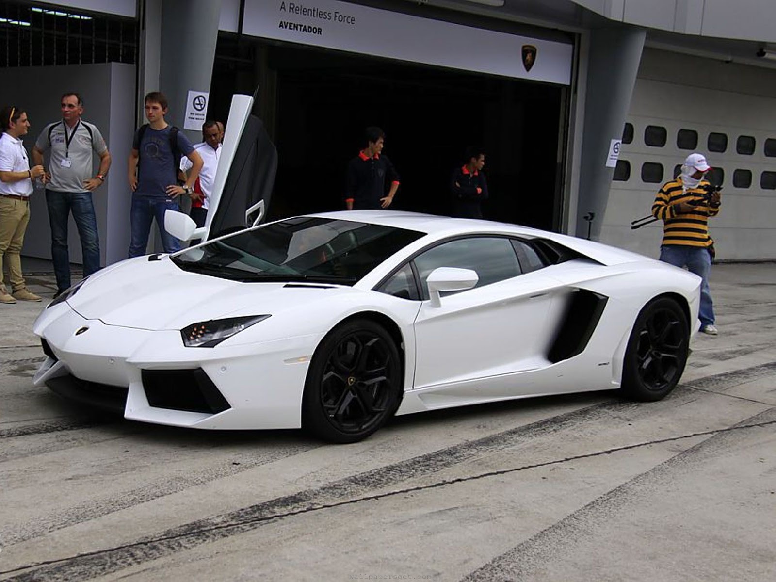 Luxury Lamborghini Cars: Lamborghini Aventador White
