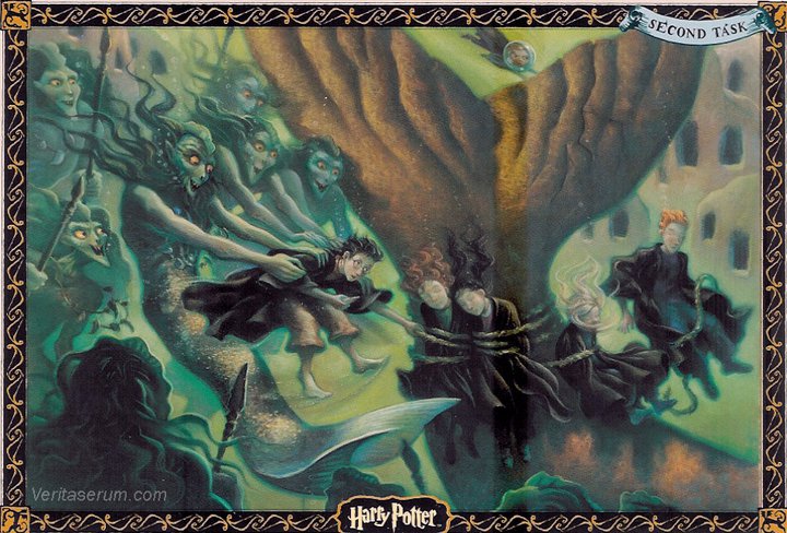 The Harry Potter Saga: Harry Potter Book Art
