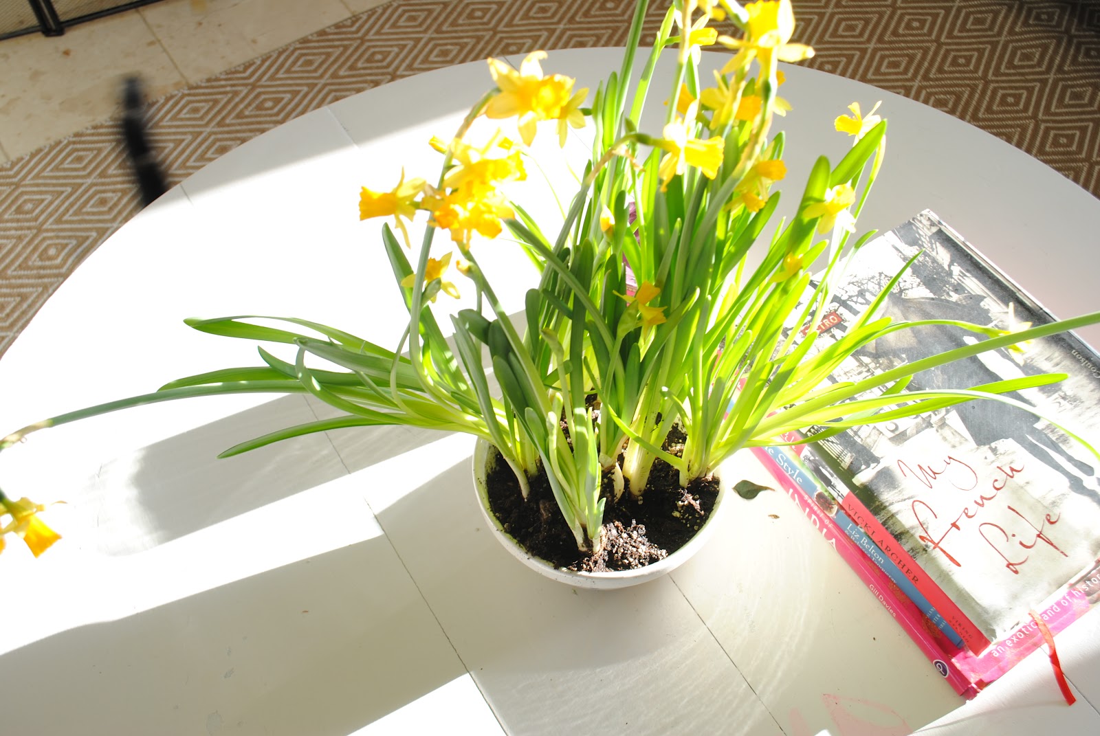 RAZMATAZ Flowers In The House