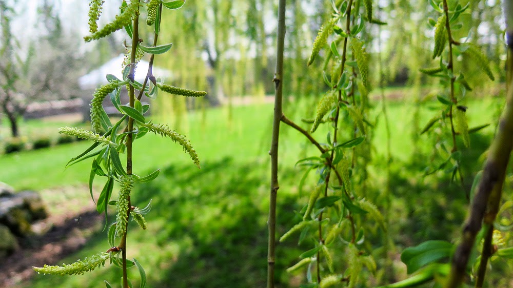 The Yum Yum Factor Farms of the Headwaters Landman Gardens and