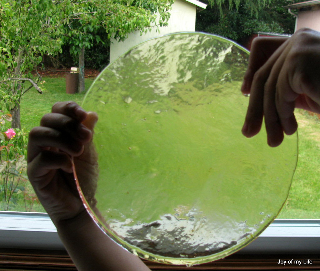 The Joy of My Life, and other things Beakman's World Sugar Glass