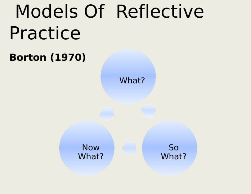 Essay using johns model of reflection