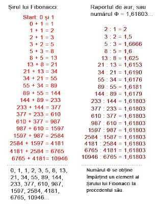 Sirul Fibonacci si Phi, numarul de aur - Internet