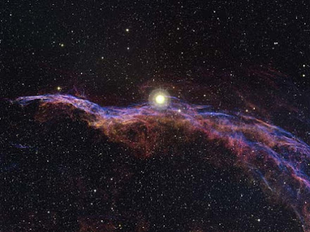 The Witch's Broom in the Veil Nebula