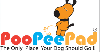 How To Train Older Dog To Use Pee Pad How To Train Older Dog To Use Pee Pad