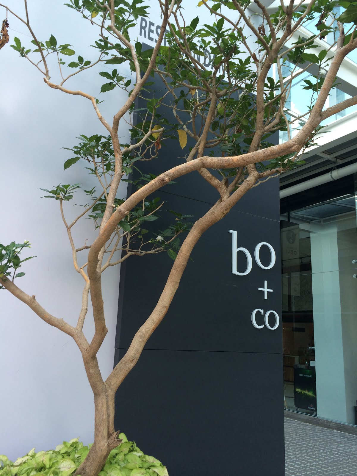 Botanica + Co @ Bangsar South