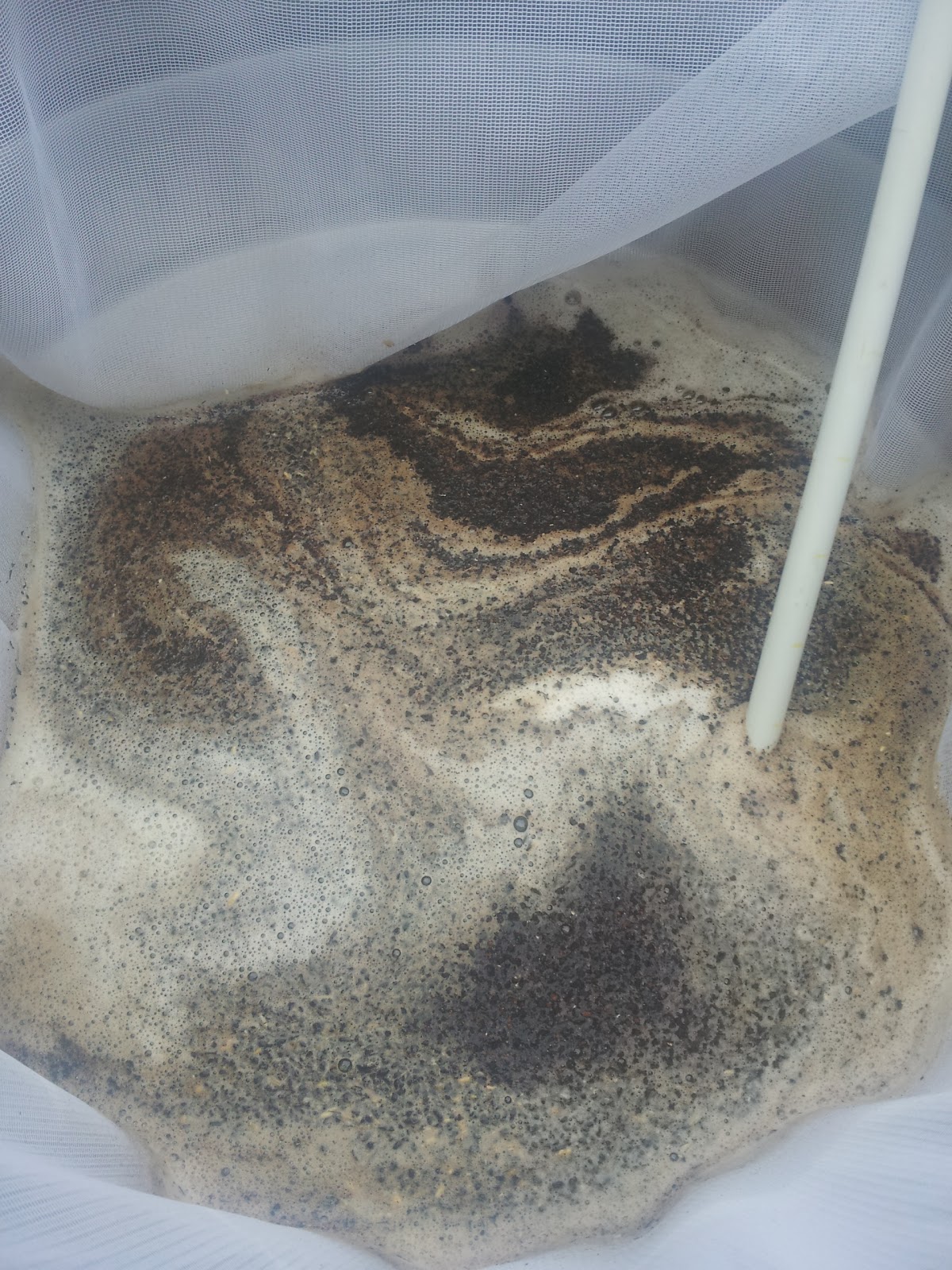 The stout at dough in