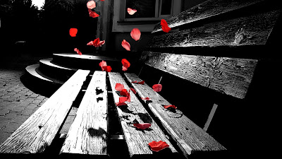 Wallpaper Photography Wallpaper Photography
