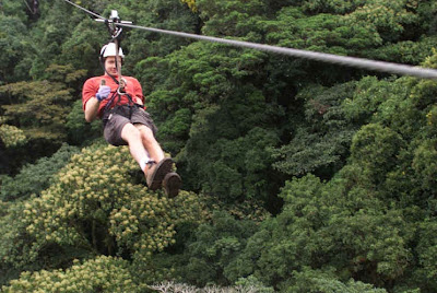 Canopy Canopy
