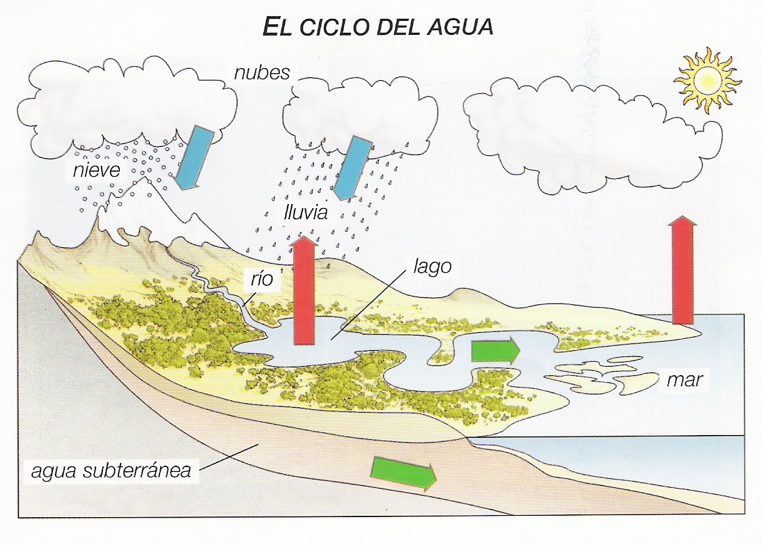 Nuestra nave TIC: Dibujo y video del Ciclo del Agua