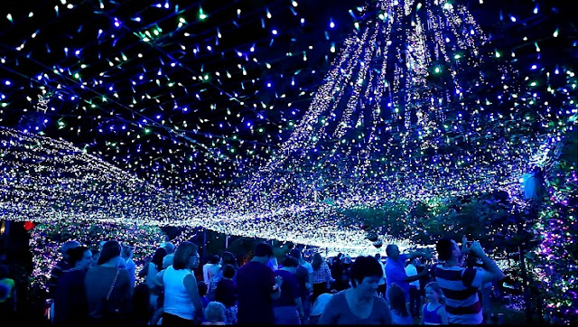 ~~Latest~~ Christmas Lights | Christmas Tree Lights | Christmas Lights Decoration ~~Latest~~ Christmas Lights | Christmas Tree Lights | Christmas Lights Decoration