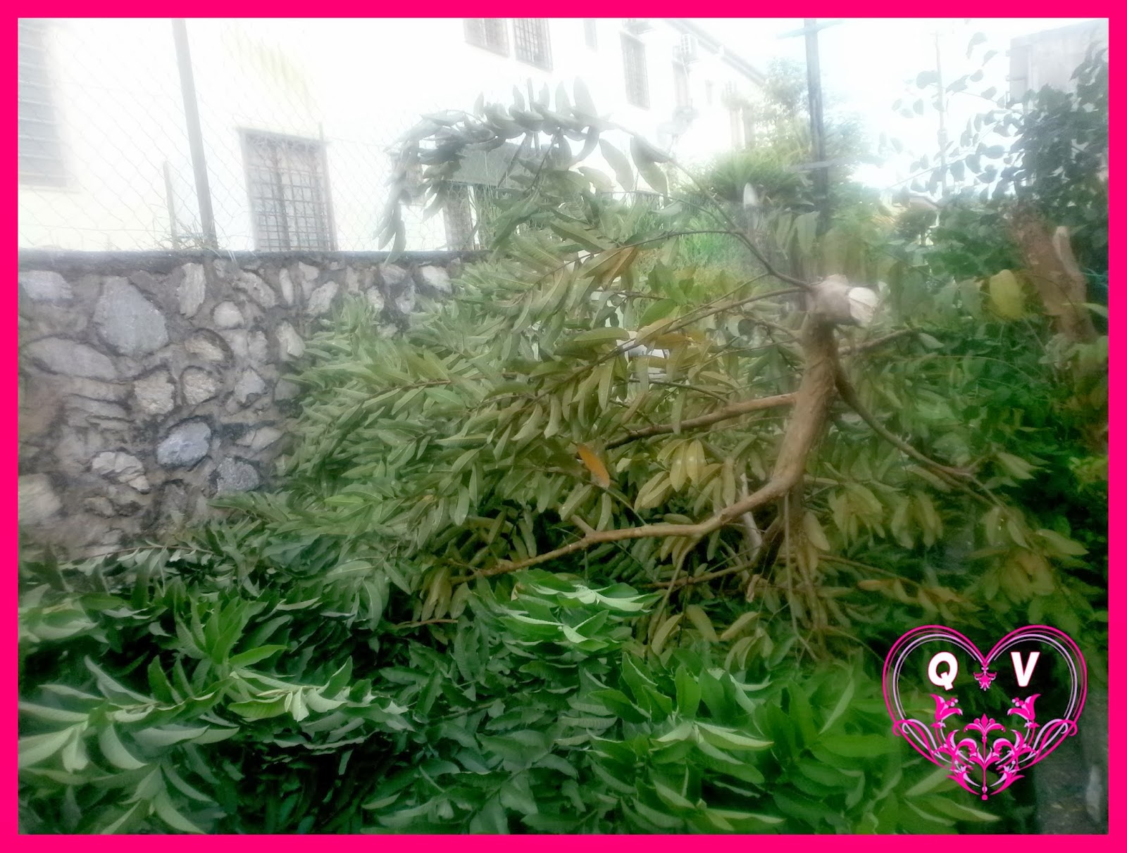 Terpaksa Sebelum Kena Warning