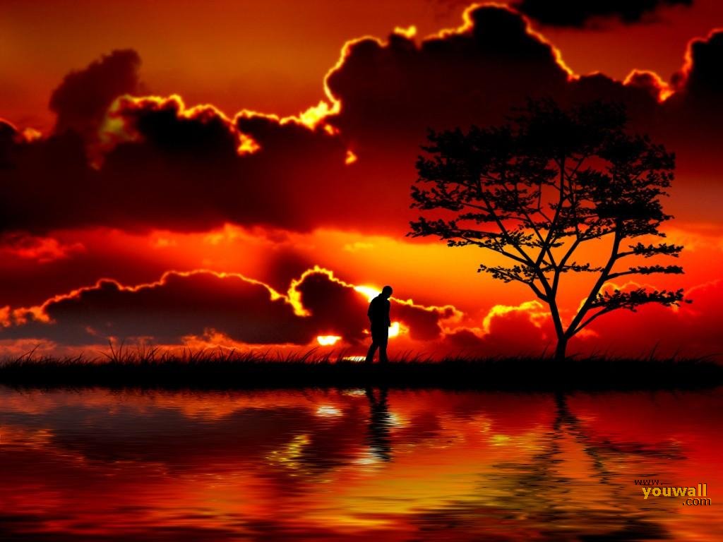 Beautiful Wallpapers: Alone wallpaper