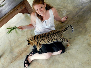 Tiger Kingdom vs Tiger Temple: Baby Tiger