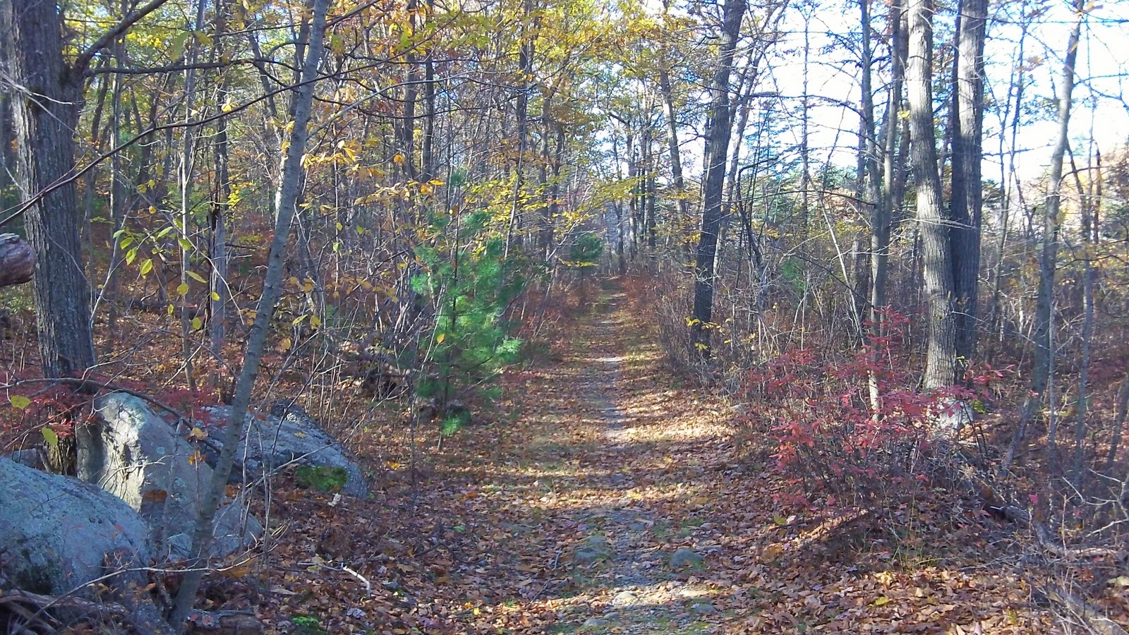 ceMental: Hike: Blue Hills Rattlesnake Hill