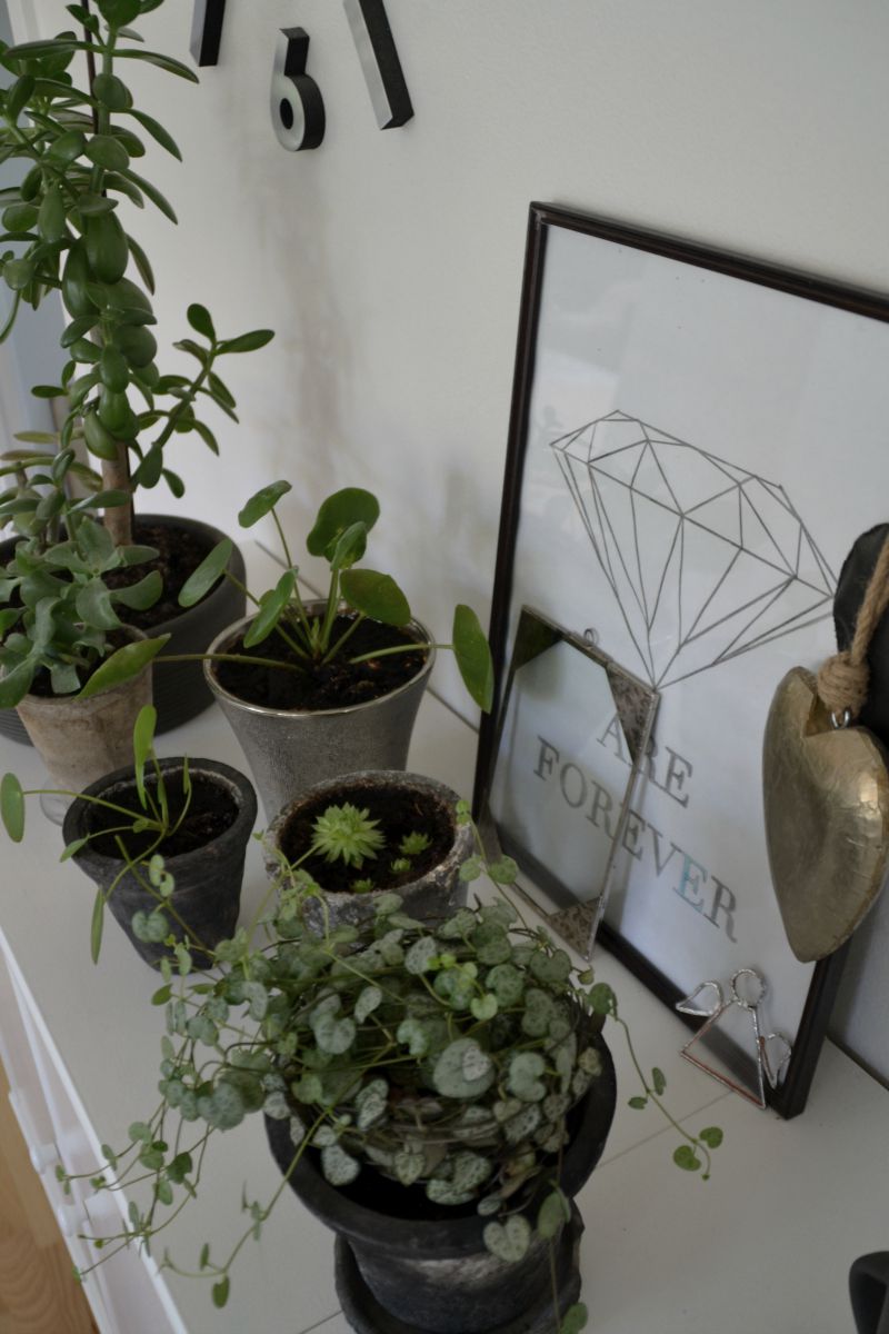 House of silver: lidt pics fra stuen