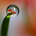 Amazing Water Drop Reflection Photography
