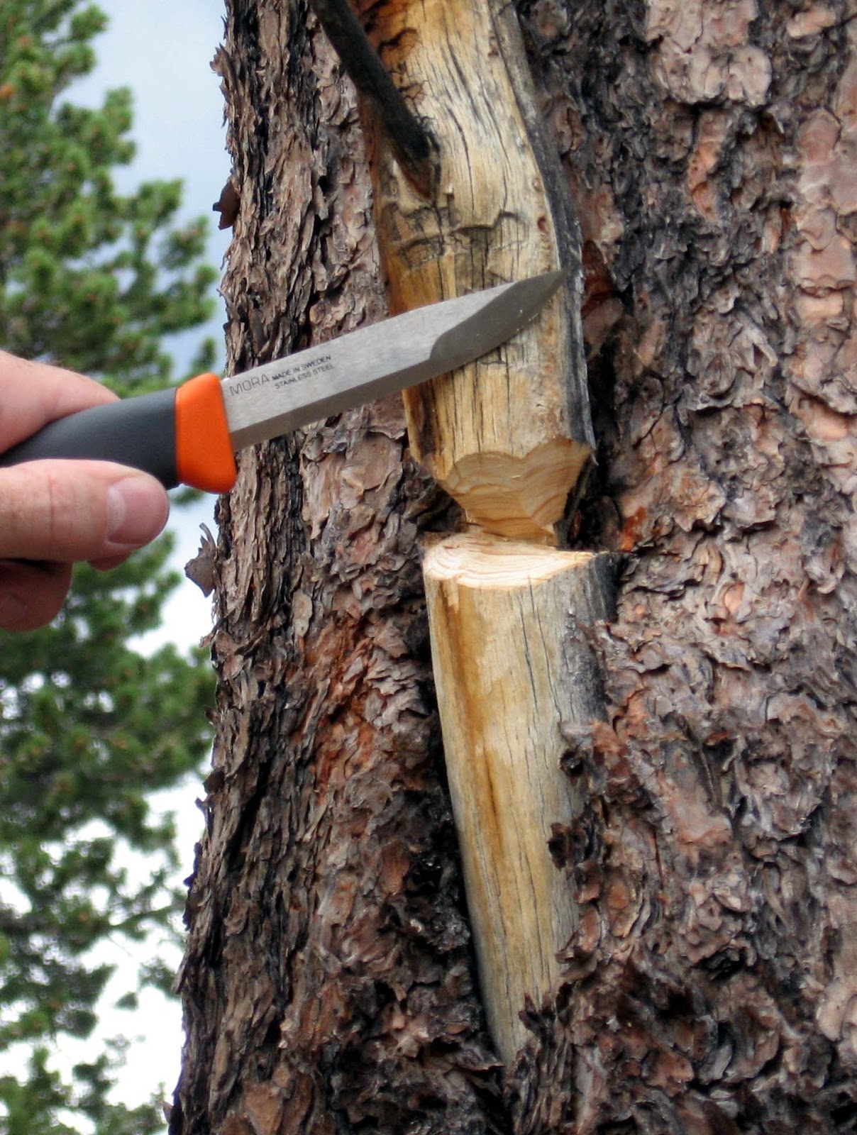 Rocky Mountain Bushcraft Wilderness Survival An easy way to find