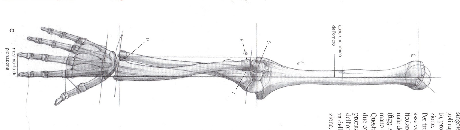Foundation Figure: February 2012