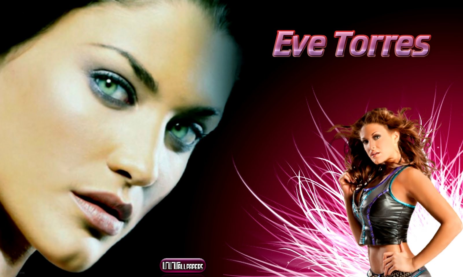 WWWallpapers / WWEWrestlingWallpapers Wallpapers, Fondos, WWE: Eve
