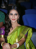 Vani Kapoor Photos at Aha Kalyanam Audio-cover-photo