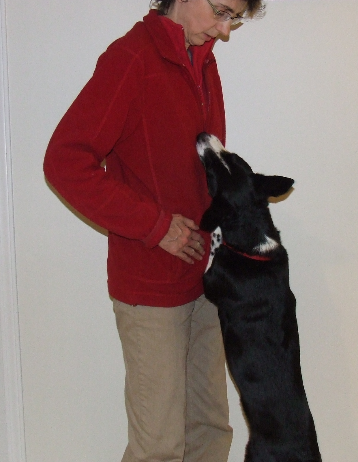 Vancouver Island Assistance Dogs Vancouver Island Assistance Dogs