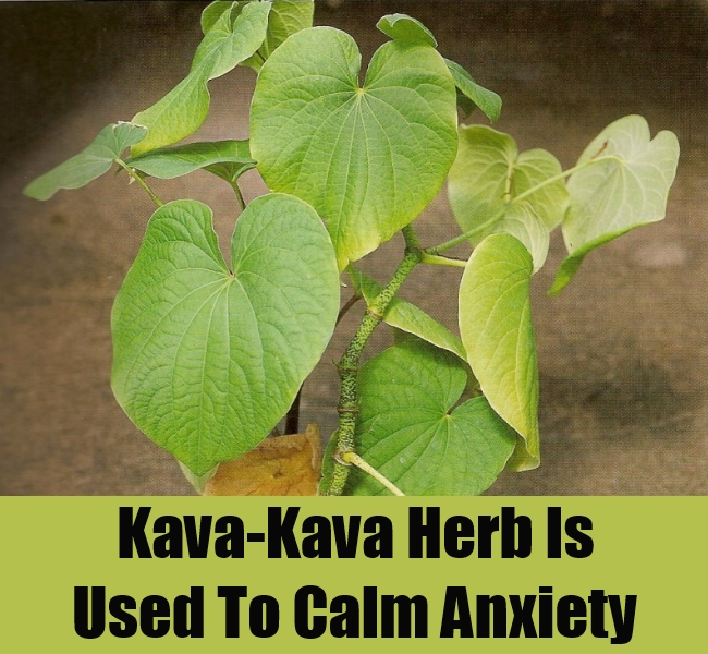 Top Methods To Cure Anxiety Attacks