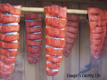 Cold Smoking and Canning Salmon