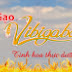 GẠO MẦM VIBIGABA GIÀU DƯỠNG CHẤT!