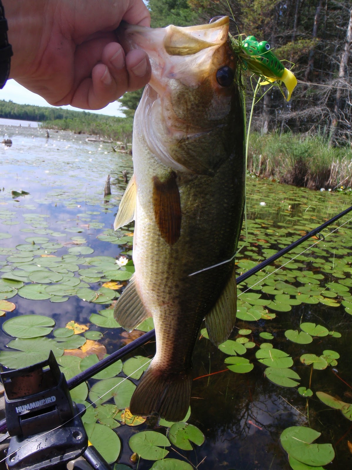 Live2KayakFish Tawas Lake, East Tawas Michigan