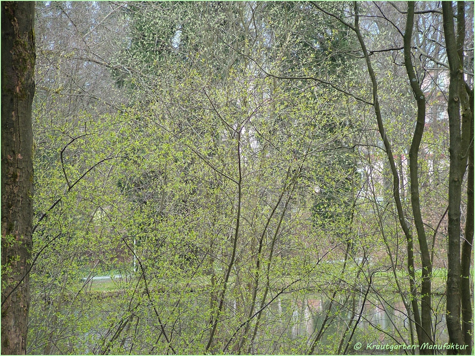 Die krautgarten manufaktur: märz 2014 Fruhling vorhänge