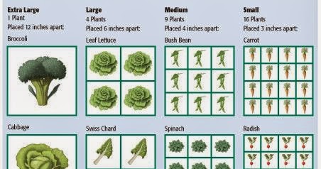 How to Practice Square Foot Gardening pics How to Practice Square Foot Gardening photo