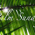 What Is Palm Sunday -What Do Christians Celebrate On Palm Sunday