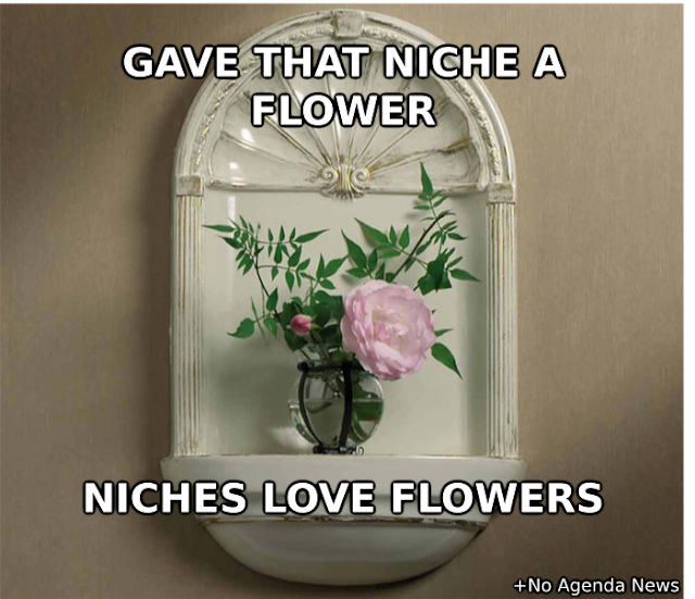 funny pictures and memes