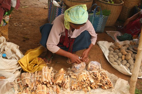 Market seller, InDein Burmese hill tribe villager selling bark at Indein market