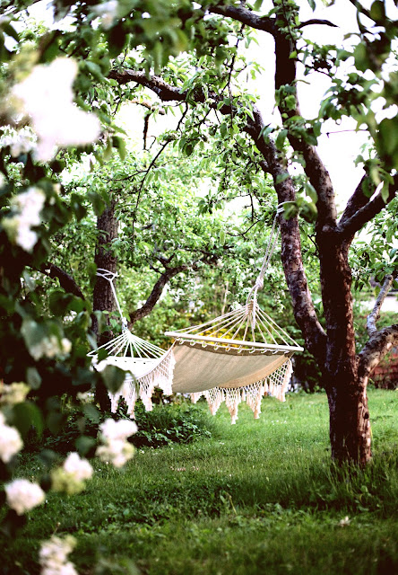 %C2%A8garden+042copyc hello and thanks.