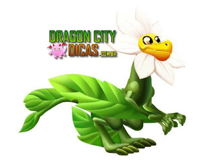 Dragão Pétala Dragão Pétala
