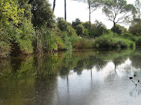 La Bassa de Can Coll La Bassa de Can Coll