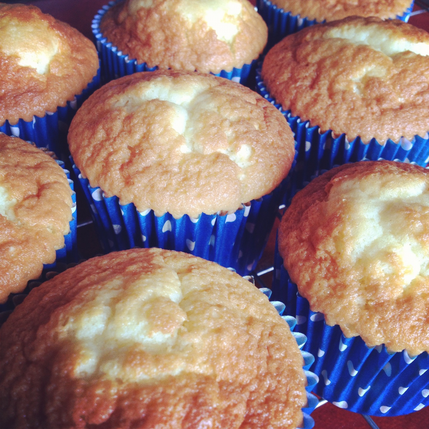RECIPE Chocolate topped, custard filled vanilla cupcakes. Handbags