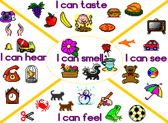 Watch this power point presentation to learn about our five senses! Watch this power point presentation to learn about our five senses!
