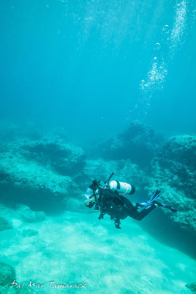 Capturing the Moment Scuba Diving Oahu's Shark Cove