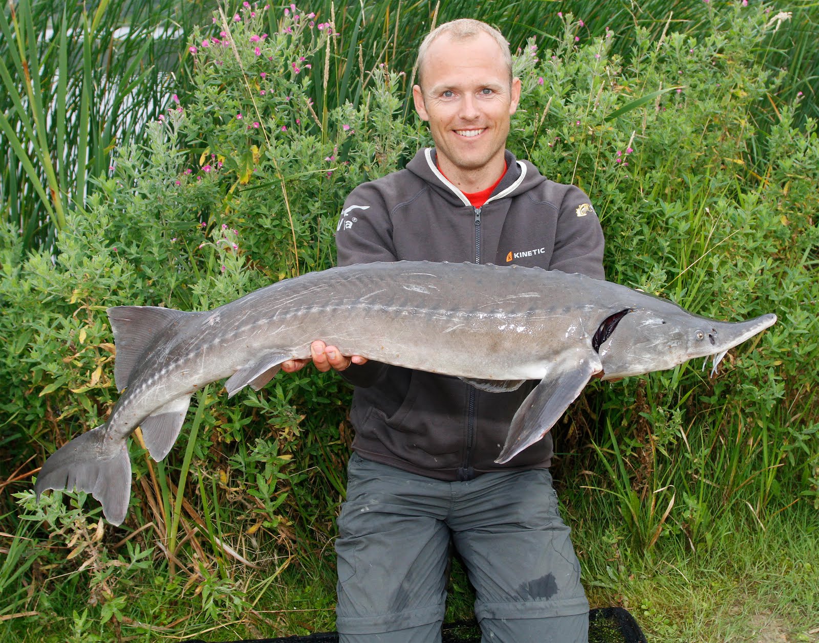 SvenstrupSportfishing Dansk Stør i P&T vand...