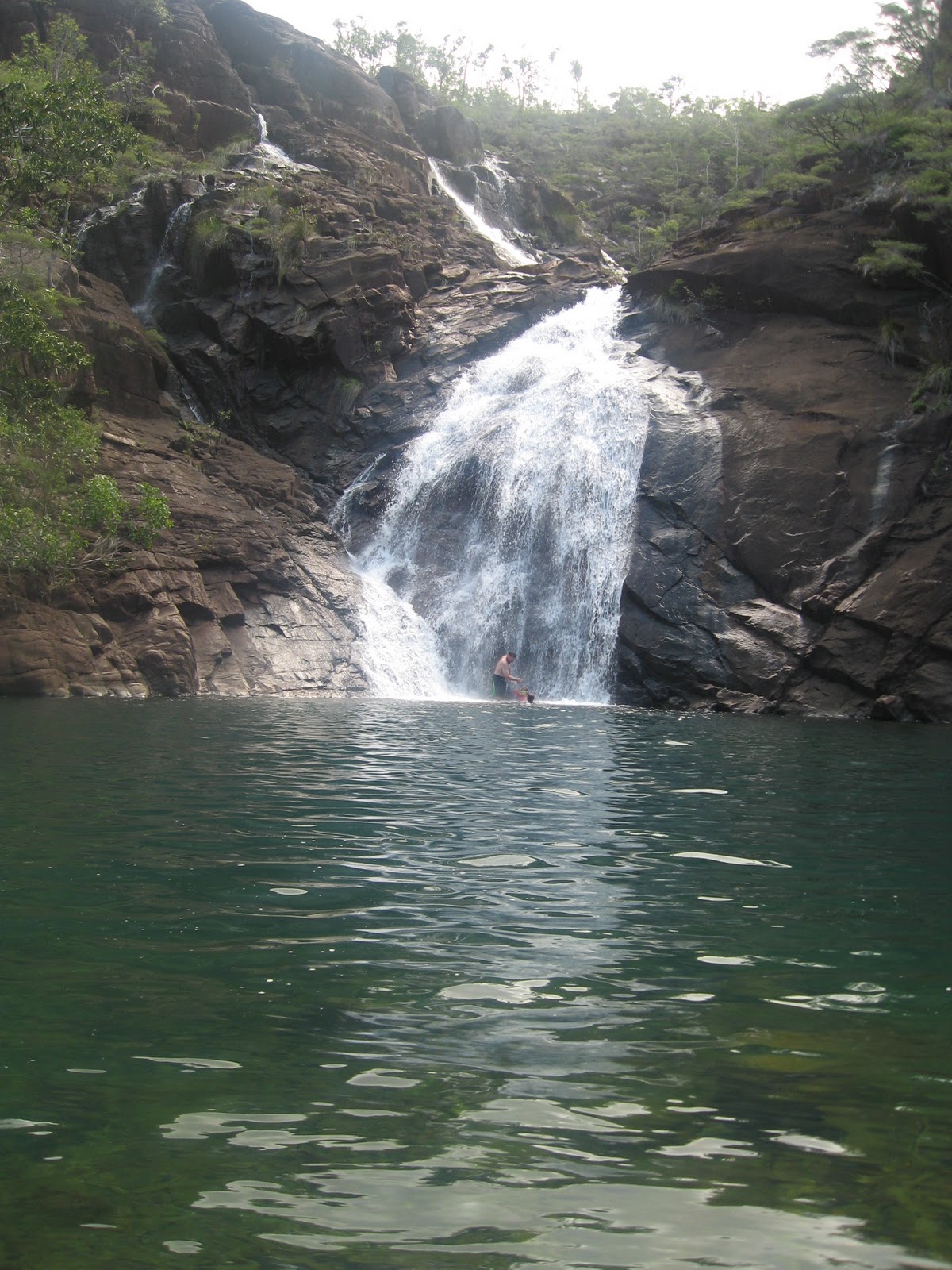 NicollsSea Hinchinbrook = Serenity
